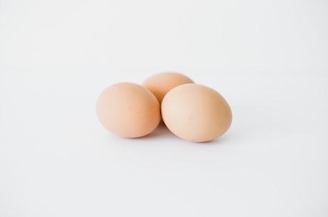 网红蛋蛋(网红蛋蛋-让你的早餐不再单调乏味)