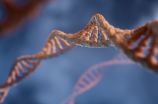 染色体是什么？了解基因组构造